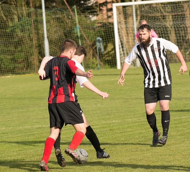 队展现了极 队展现了极