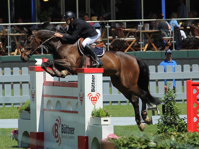 丰富的资源 丰富的资源