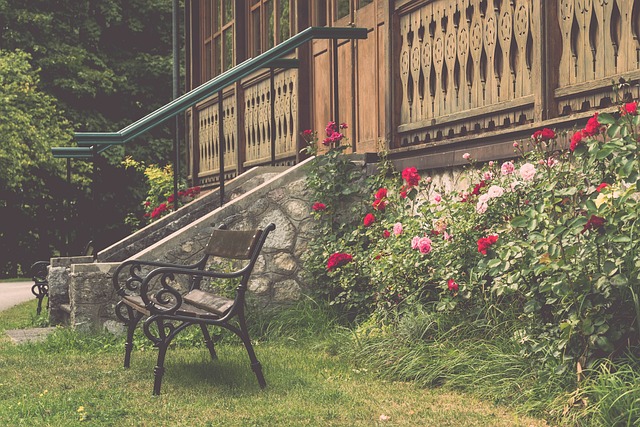 能够在国际 能够在国际