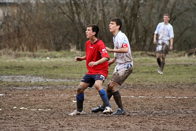 其影响不可 其影响不可