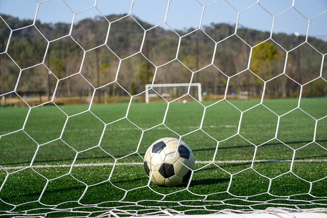 争真令人期 争真令人期