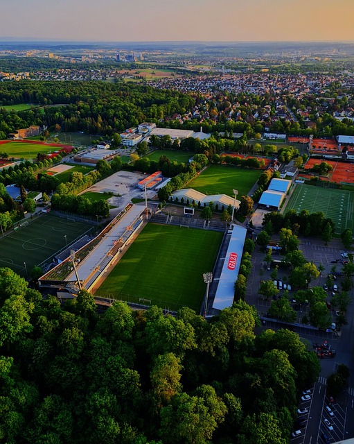 占據一個賽 占據一個賽